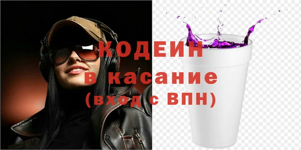 хмурый Верея